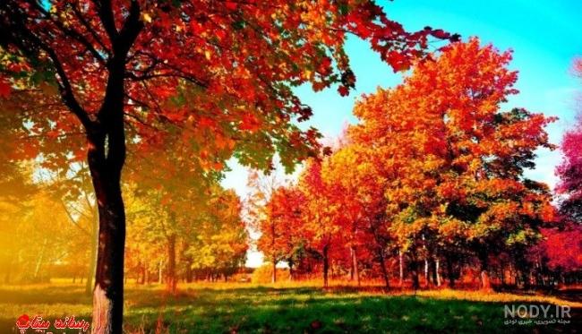 عکس پاییزی زیبا عکس پاییزی زیبا