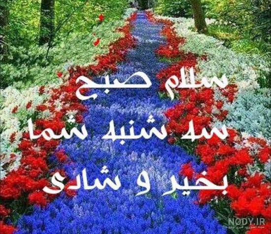 عکس پروفایل صبح بخیر سه شنبه