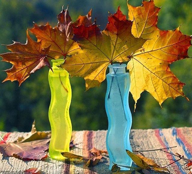 عکس پروفایل طبیعت پاییزی عکس پروفایل طبیعت پاییزی