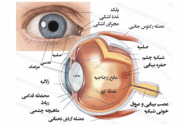 عکس چشم چیست