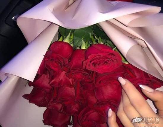 عکس گل رز فیک