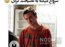 قیافه خنده دار حیوانات
