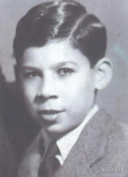 لیلی رشیدی