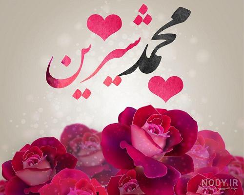 معنی اسم امیر علی معنی اسم امیر علی