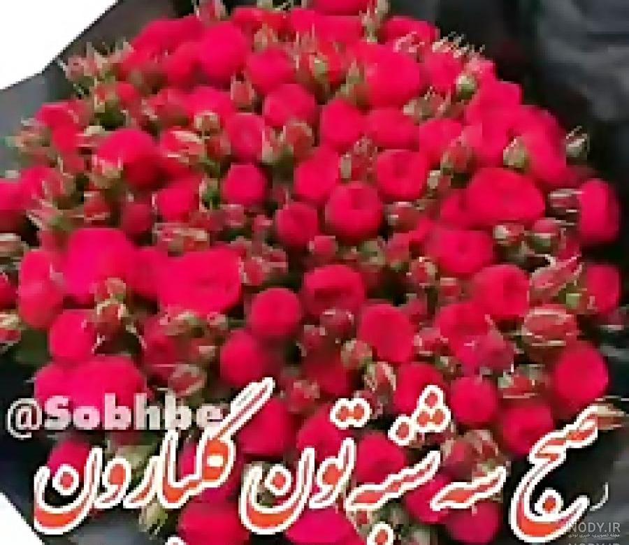 کلیپ صبح بخیر روز سه شنبه