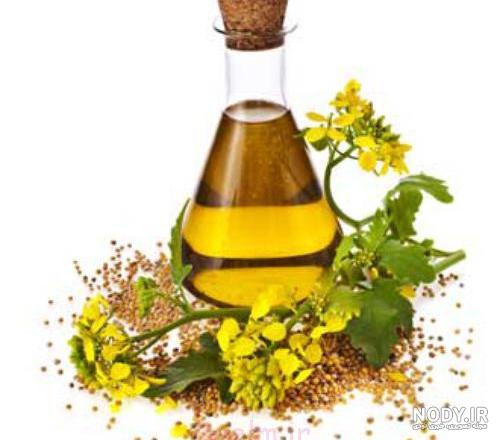 کیا از روغن رازیانه نتیجه گرفتن