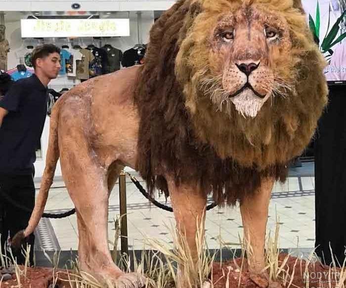 کیک بزرگ السا