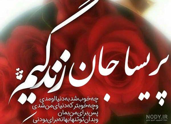 کیک تولد پریسا جان کیک تولد پریسا جان