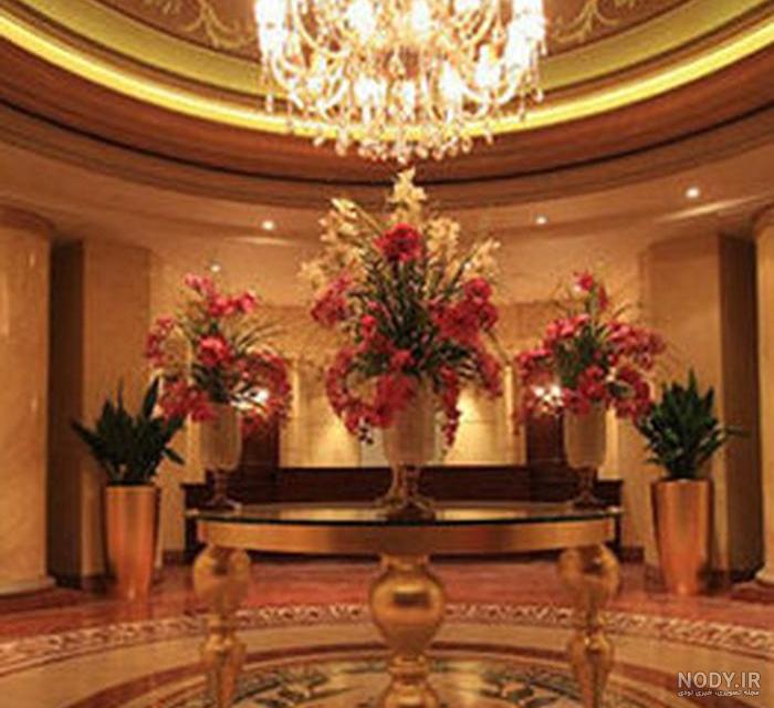 گیاه زینتی گونه نماینده
