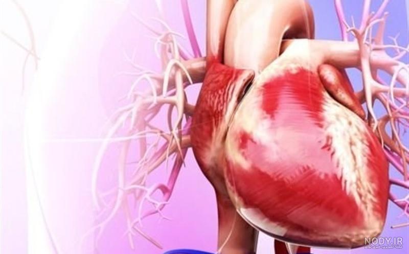 عکس قلب شکسته متحرک عکس قلب شکسته متحرک