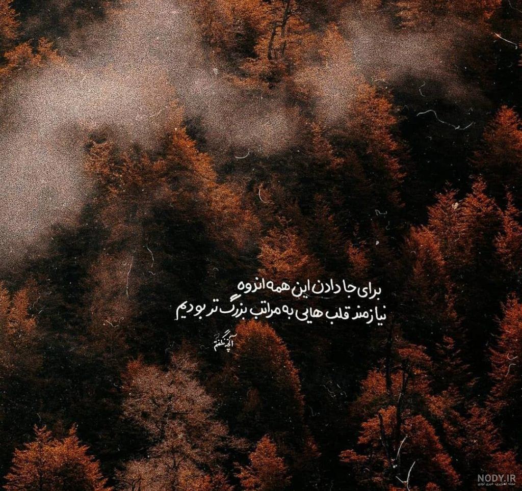 عکس قلب و گل عکس قلب و گل