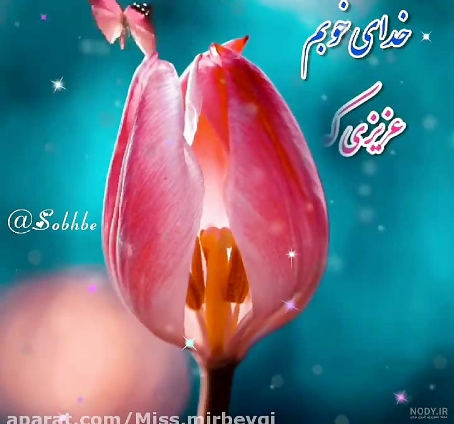 استیکر آمین برای تلگرام استیکر آمین برای تلگرام