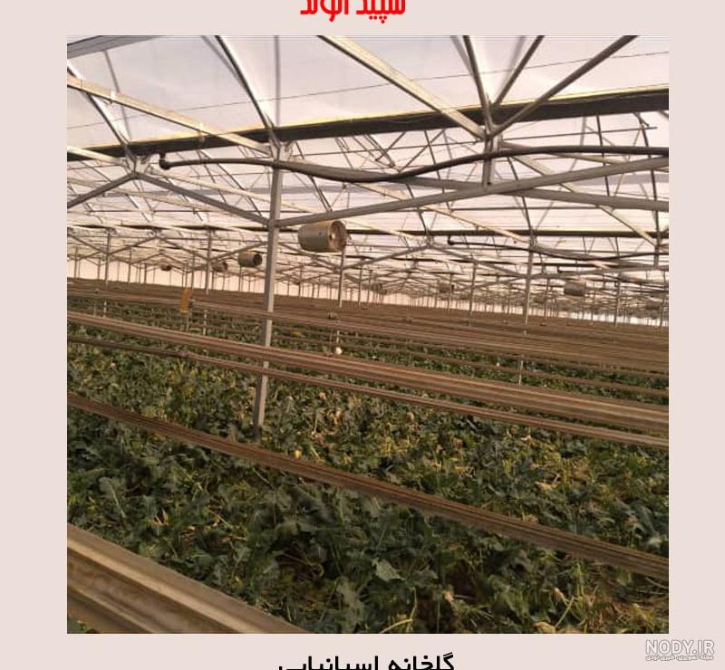 ساخت گلخانه در اتاق ساخت گلخانه در اتاق