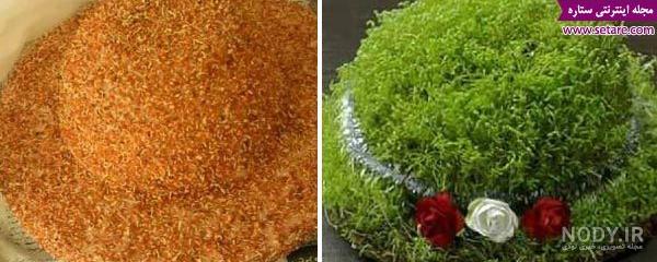 سبزه عید با ابر سبزه عید با ابر