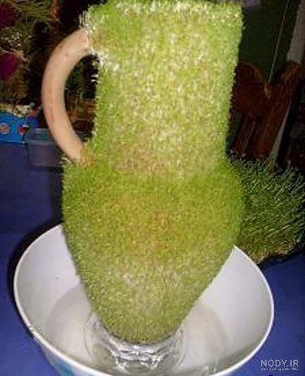 سبزه فوری برای عید سبزه فوری برای عید