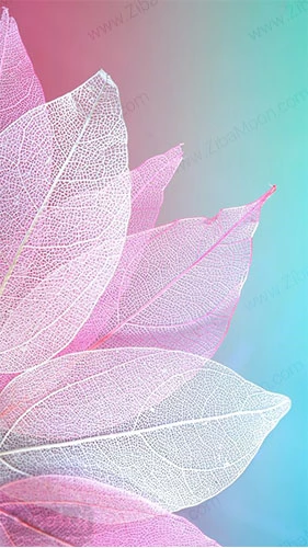 عکس ساده و شیک