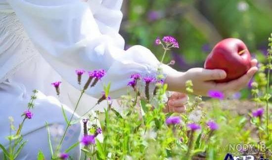 عکس های عاشقانه طبیعت