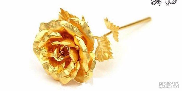 عکس های گل رز طلایی عکس های گل رز طلایی