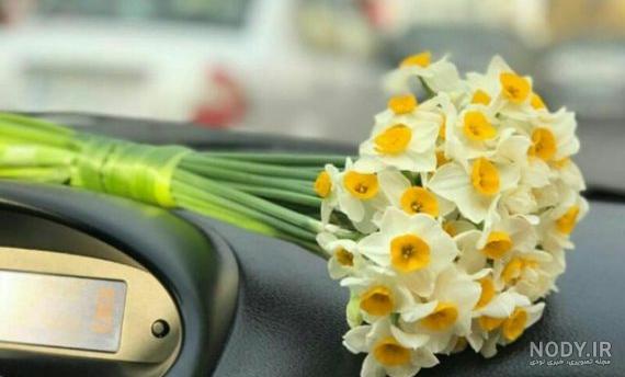 عکس پروفایل گلها عکس پروفایل گلها