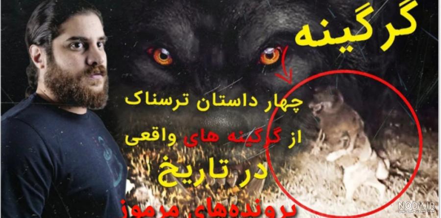 عکس گرگینه