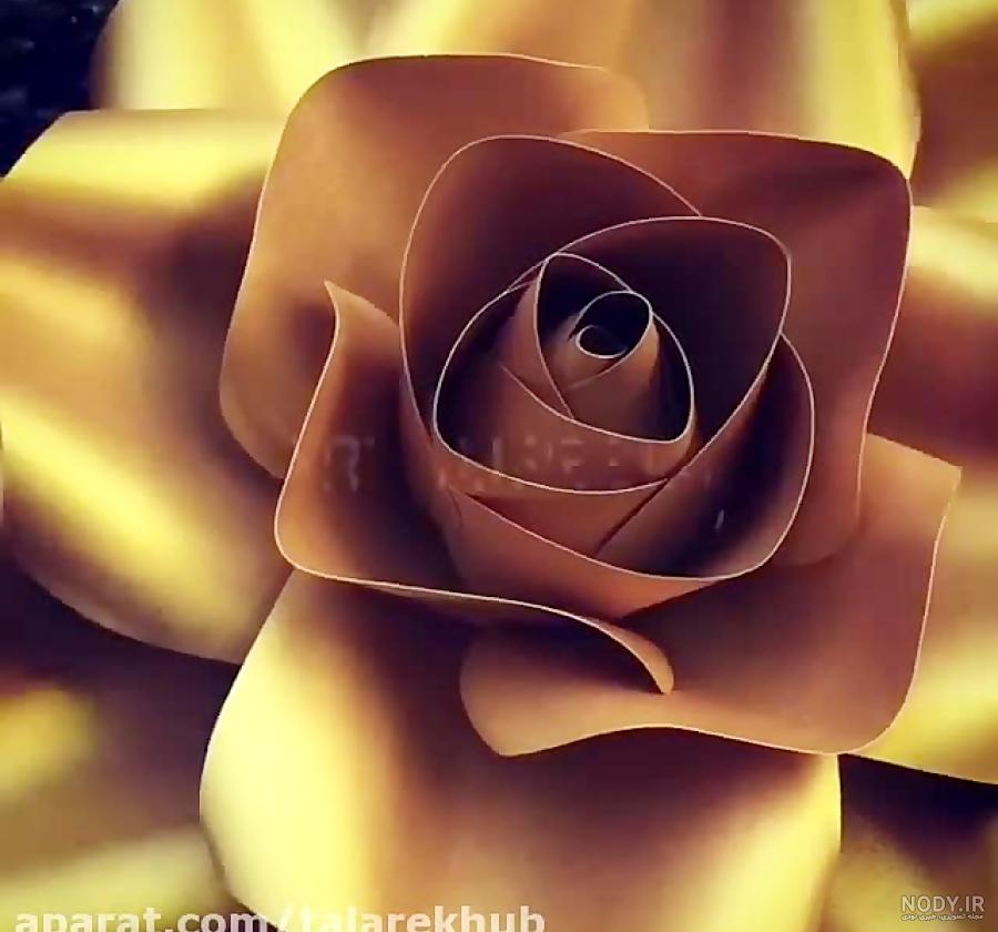 عکس گل طلایی برای تصویر زمینه عکس گل طلایی برای تصویر زمینه