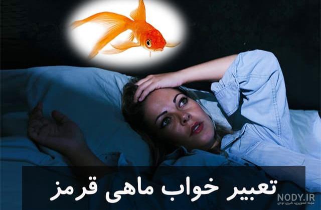 غذای ماهی قرمز را از کجا بخریم