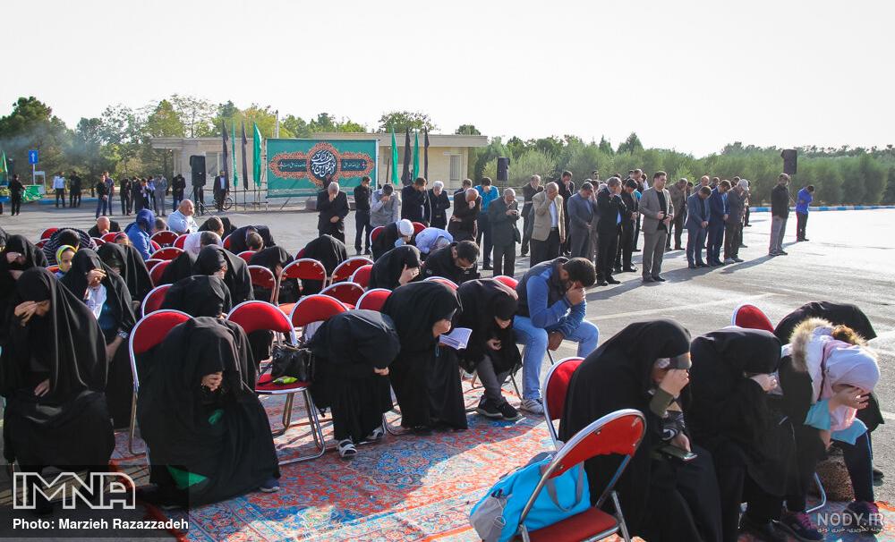 فیلم دلارا کوچولو فیلم دلارا کوچولو