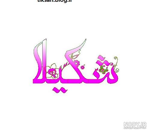 کلیپ کوتاه شکیلا برای وضعیت کلیپ کوتاه شکیلا برای وضعیت