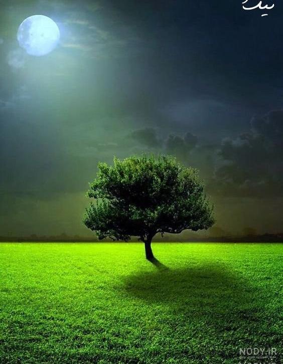 گالری عکس طبیعت