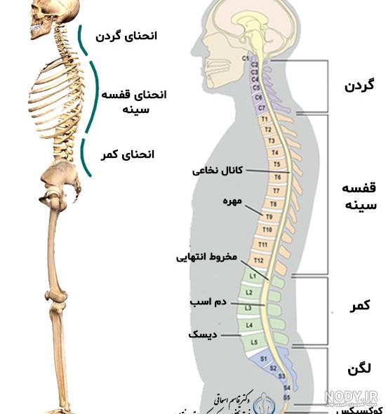 آموزش طراحی بدن زن