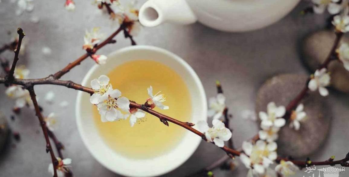 بهترین زمان خوردن چای سفید