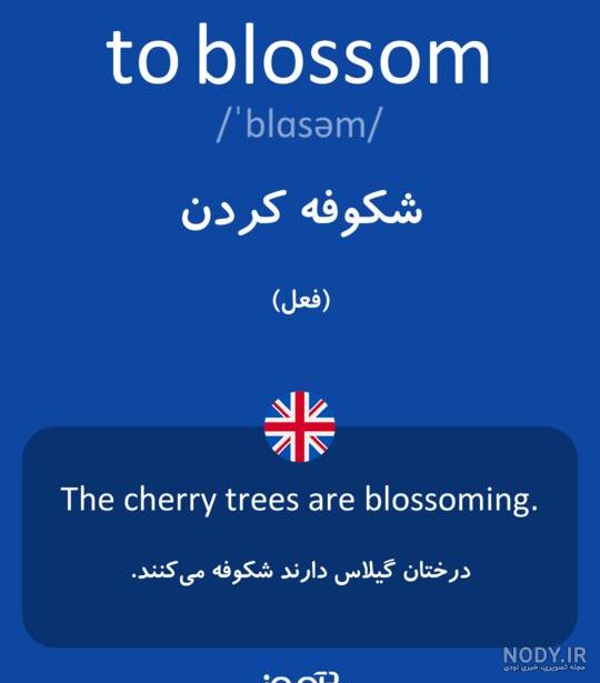 تلفظ شکوفه به انگلیسی
