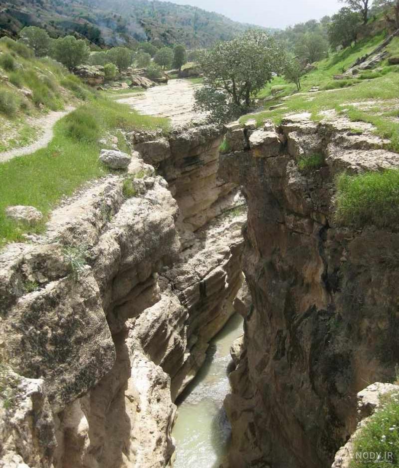 تنگ رازیانه کجاست تنگ رازیانه کجاست
