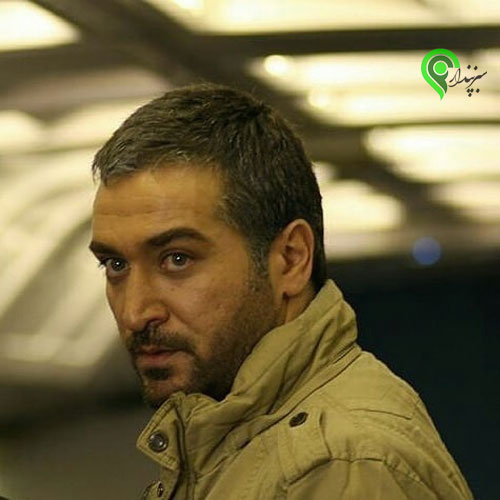 حمیدرضا عطایی در ستایش