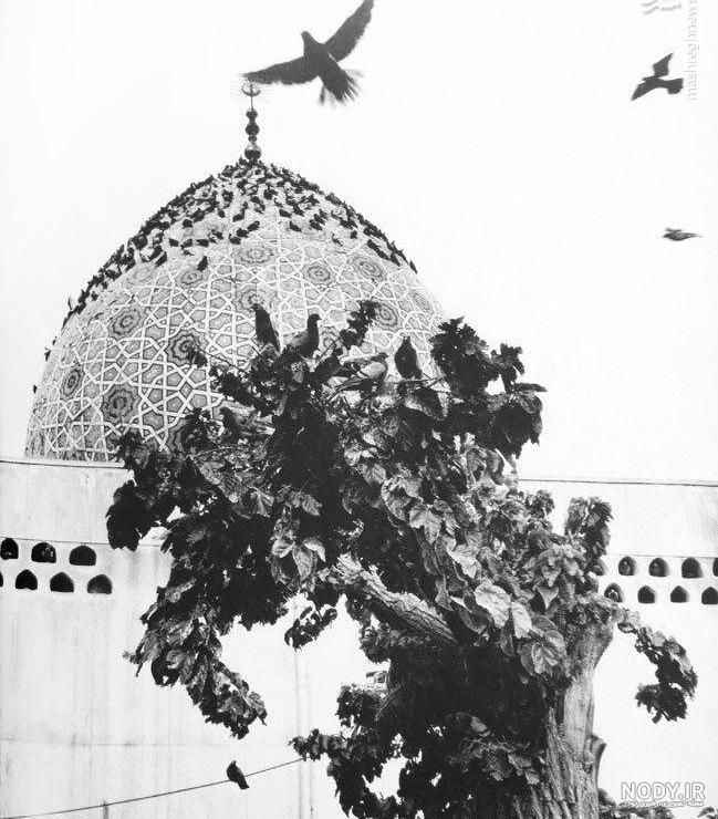 دانلود سریال جایزه 5 شبکه باران دانلود سریال جایزه 5 شبکه باران