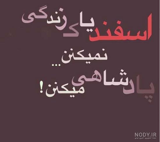 رفیق اسفند ماهی تولدت مبارک