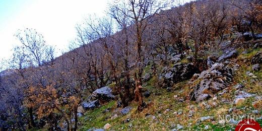 روستاهای سرپل ذهاب روستاهای سرپل ذهاب