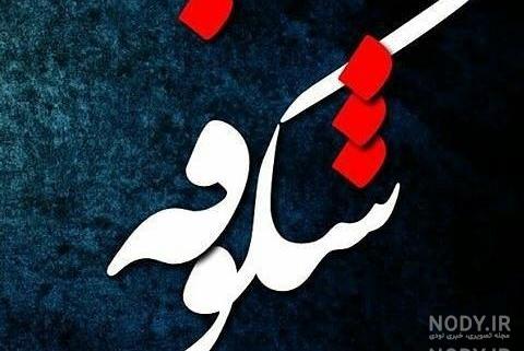 شکوفه بهاری به انگلیسی