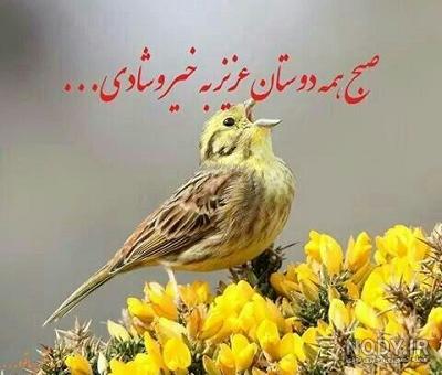 صبح بخیر عزیزم به ترکی صبح بخیر عزیزم به ترکی