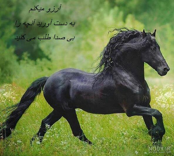 عکس آرامش دهنده عاشقانه عکس آرامش دهنده عاشقانه