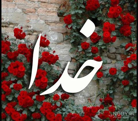 عکس خدا روی گل