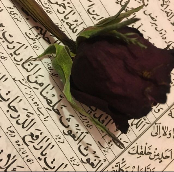 عکس شب بیست و یکم رمضان