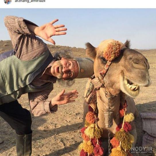عکس شتر دوکوهانه