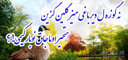 عکس صبح بخیر به ترکی عکس صبح بخیر به ترکی