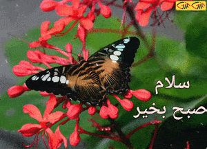 عکس صبح بخیر گیف