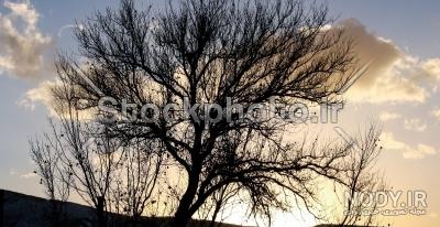 عکس ضد نور ساده عکس ضد نور ساده