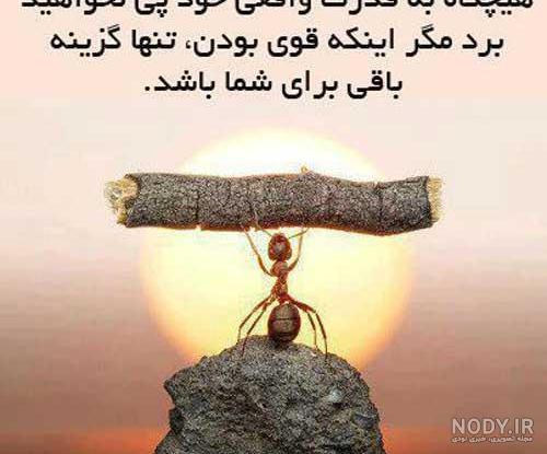 عکس عبرت گرفتن عکس عبرت گرفتن