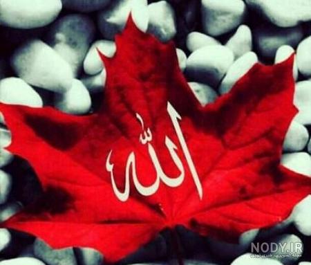 عکس مذهبی لایک دار