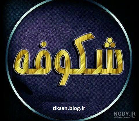 عکس نوشته اسم شکوفه به انگلیسی