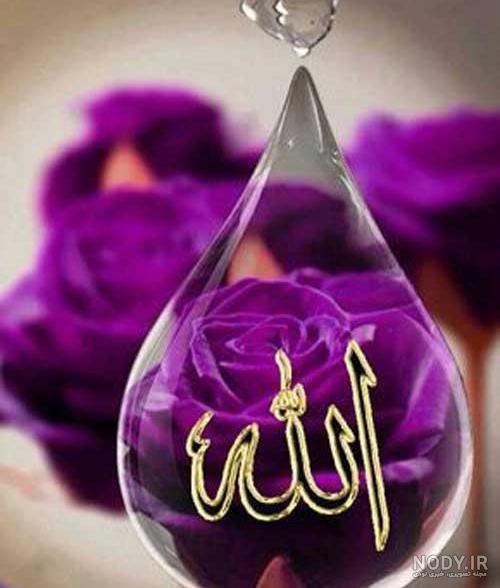 عکس نوشته خدا روی گل عکس نوشته خدا روی گل